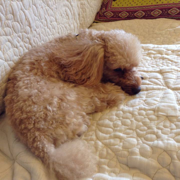 E36fa82e c645 43d0 a0a3 d56f1dc73c3c