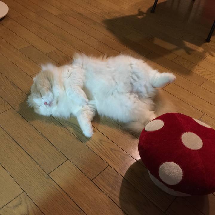 E37056a5 948d 42e8 83b9 9bd9308843c9