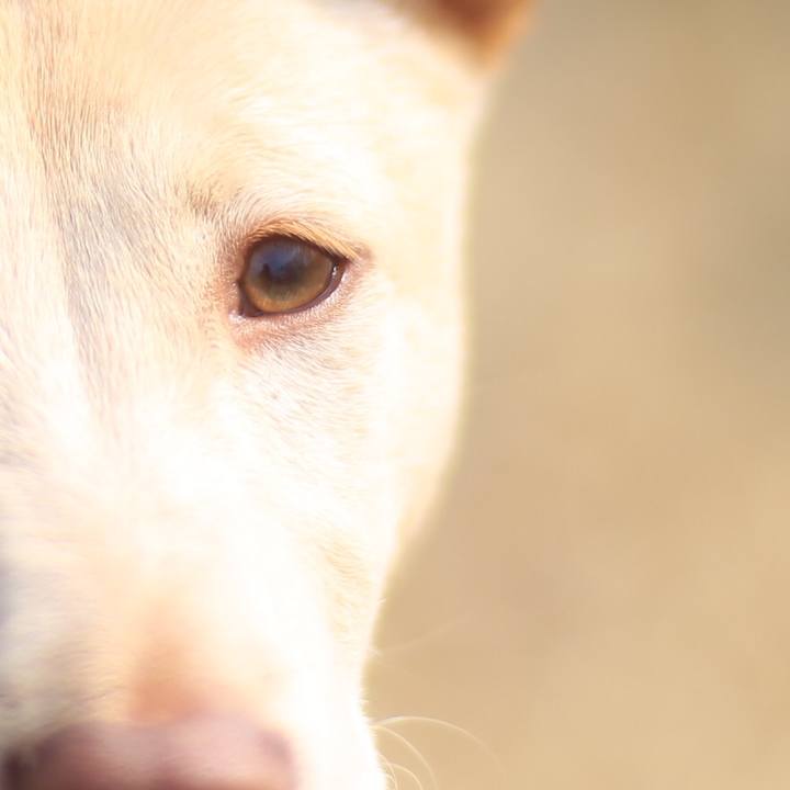 E37063c5 b2cd 4b2e acf7 a4bf371b2a9d