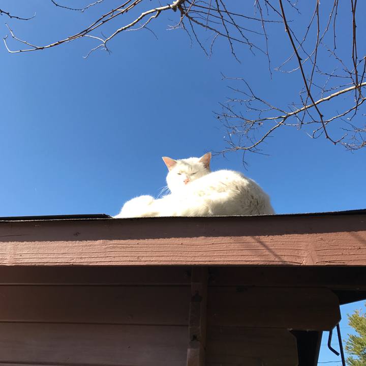 E370692c c607 4209 ba72 a5af8f310aed