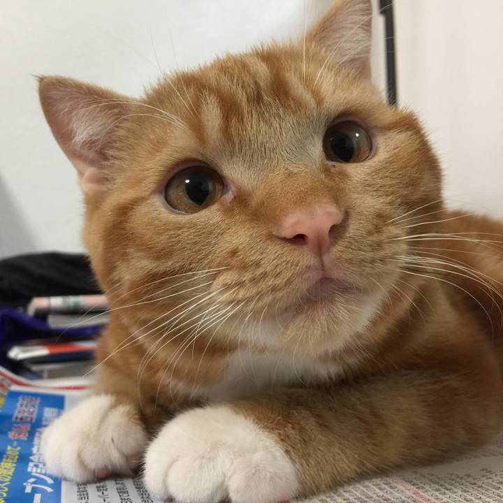 E3708ae5 1b4e 4691 aae8 bf355a38b814