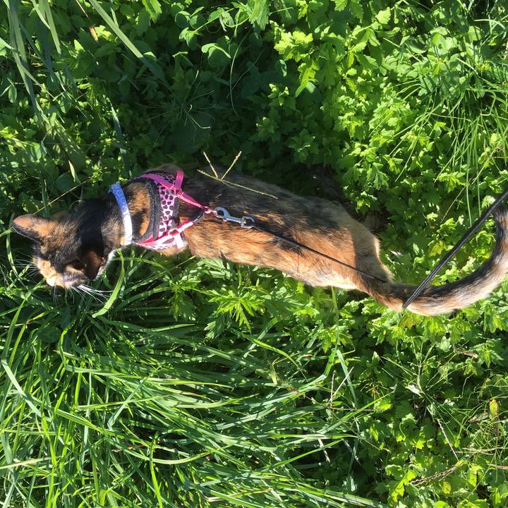 E370a795 5f21 40b5 9ee7 a960935c5ed8