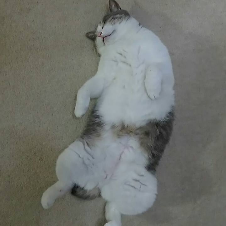 E370f975 0aaa 4b2e 8b56 2cfbe8e2abae