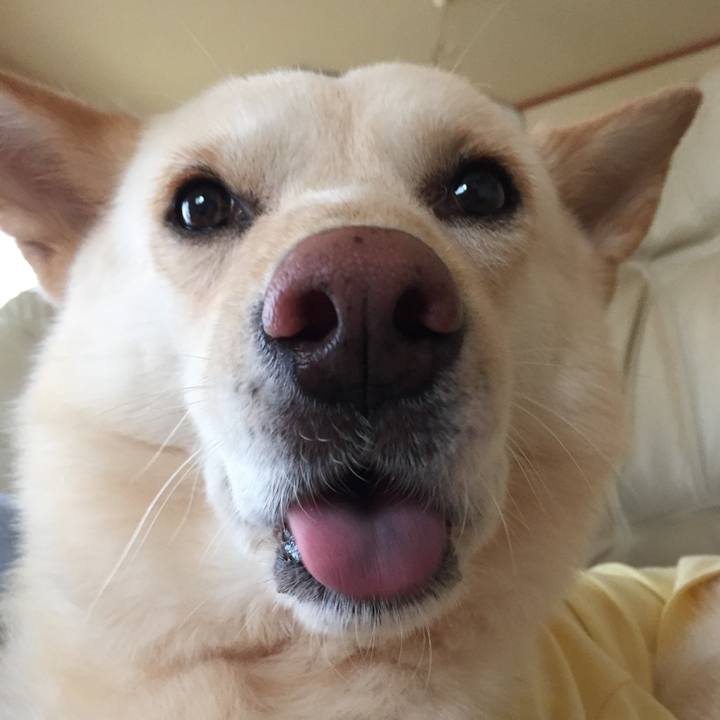 E3710276 6ddc 4d80 99bd 0077ce2a4937