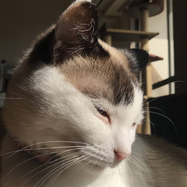 E371f871 7e71 435b 9a00 19761007327e