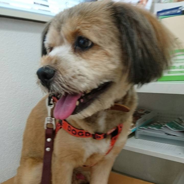 E37242c2 2776 4311 8c2c 417012e1051f