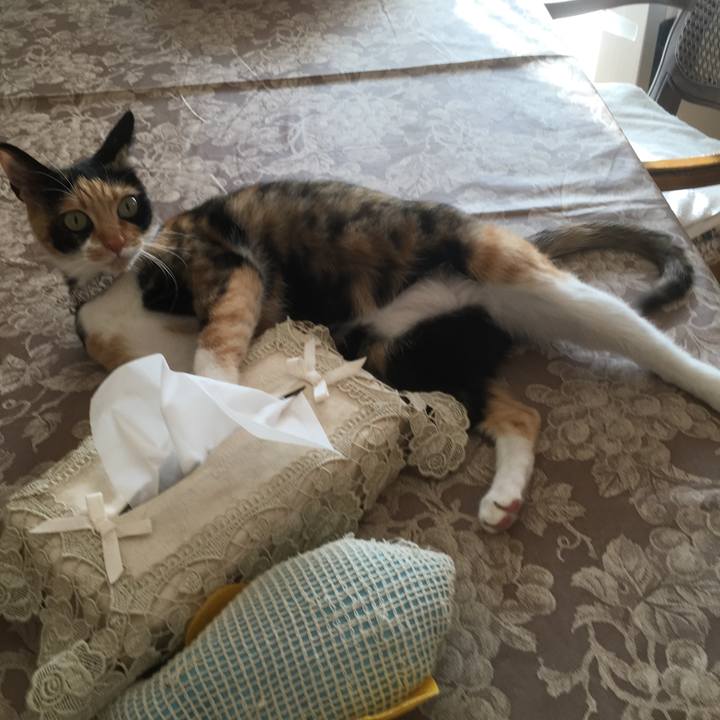 E3735357 63d5 4db4 84ed b3f54acd2dc2