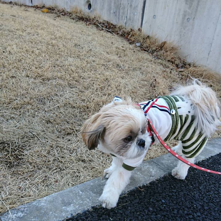 E3736d56 b704 4a45 9ec2 e9803c409d34