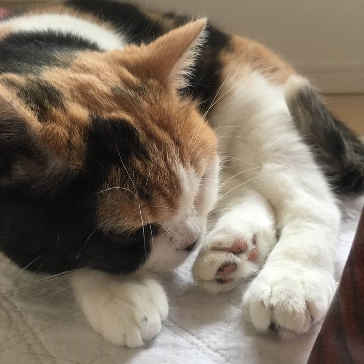 E373bf6c 8889 4afd a908 f3e1a1367498