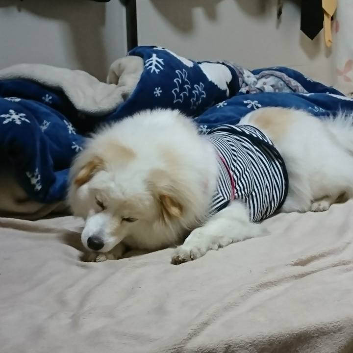 E373d919 4256 4e6e 80e5 a4c8f2c26490