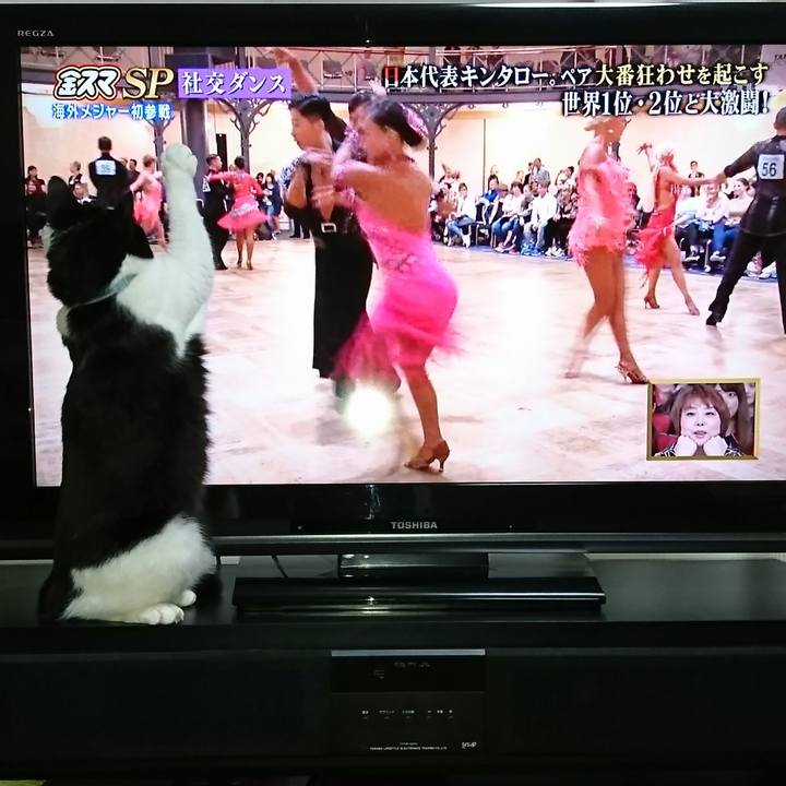 E373f923 5473 4158 b418 b68928fa8e9f