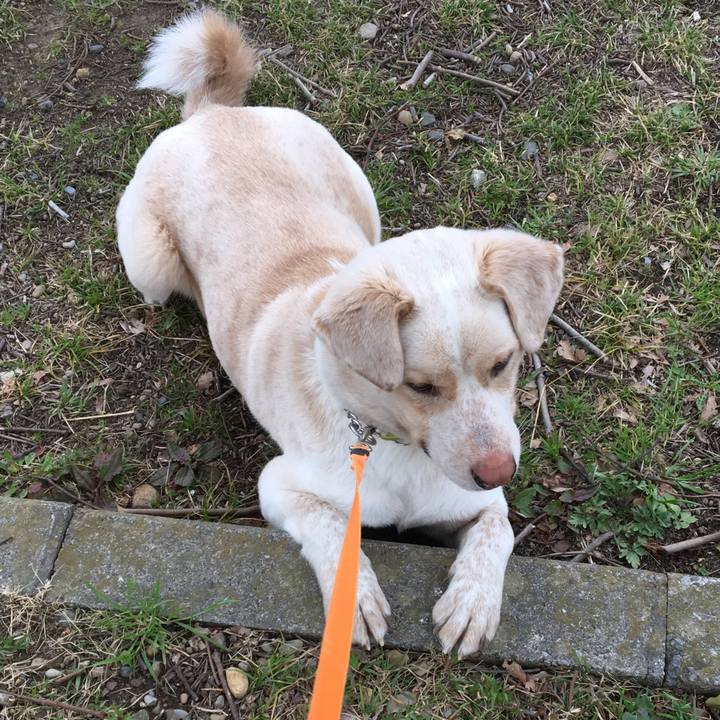 E3743951 d9cf 4801 bbe3 07b2d3fbce27