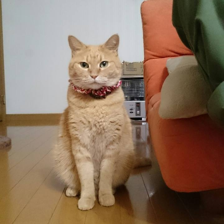 E3745722 080f 4394 a83a 32e72e790eec