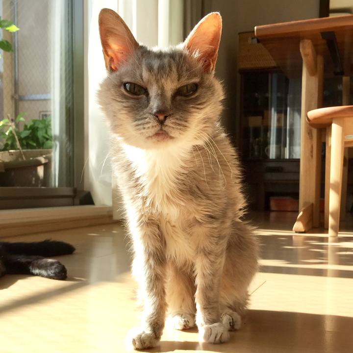 E375c060 22b8 45d8 a89e bf629ebba844