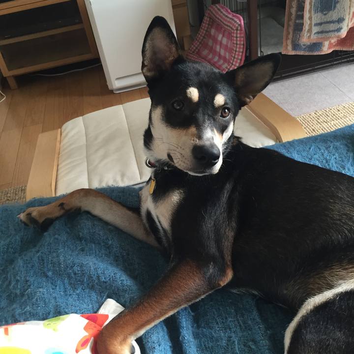 E3760a43 5170 4f1d 8430 cc9da122fd03