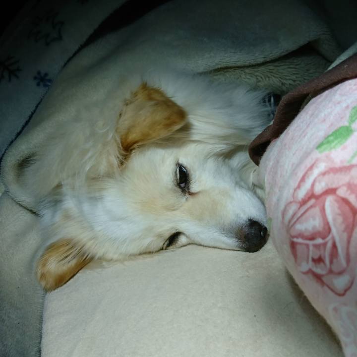 E3762334 dd66 460c 93c2 eb7aaee1235f