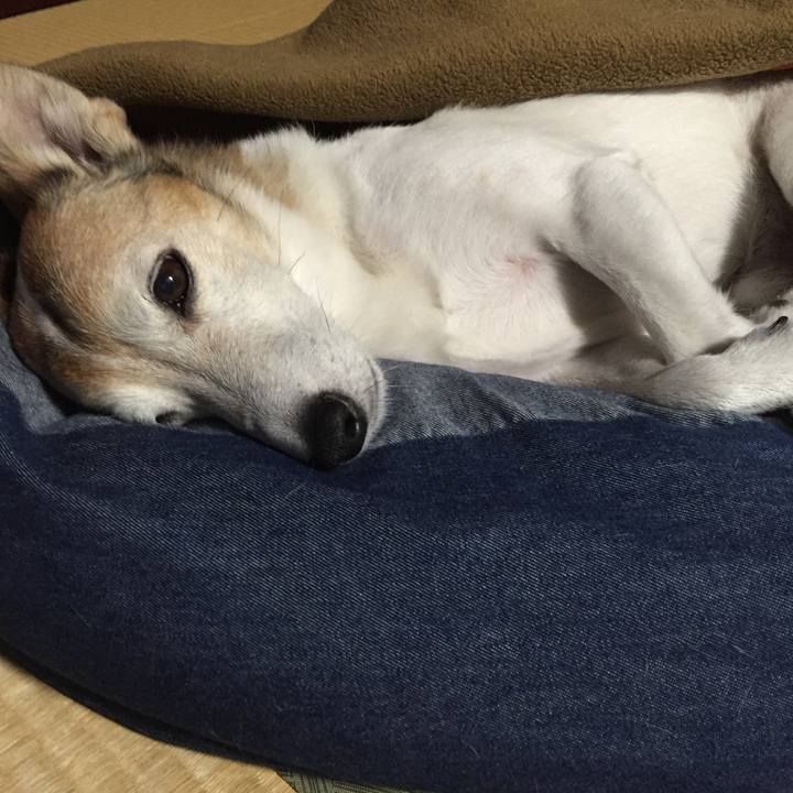 E3766067 81fb 4f11 8f38 29652db54cfa