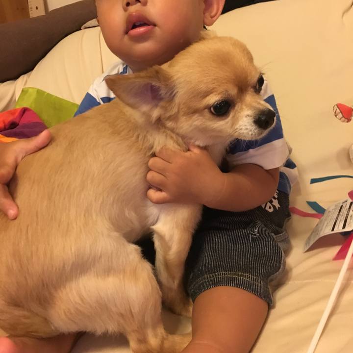 E3767e5e cfc9 41d8 80ea fedb4d0456d5