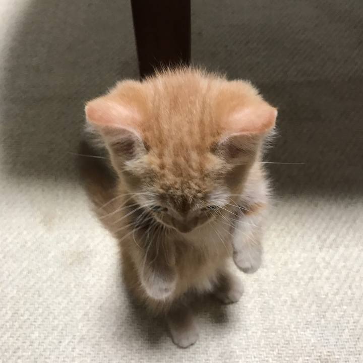 E3771763 d489 4925 9526 38c0b1d5631b