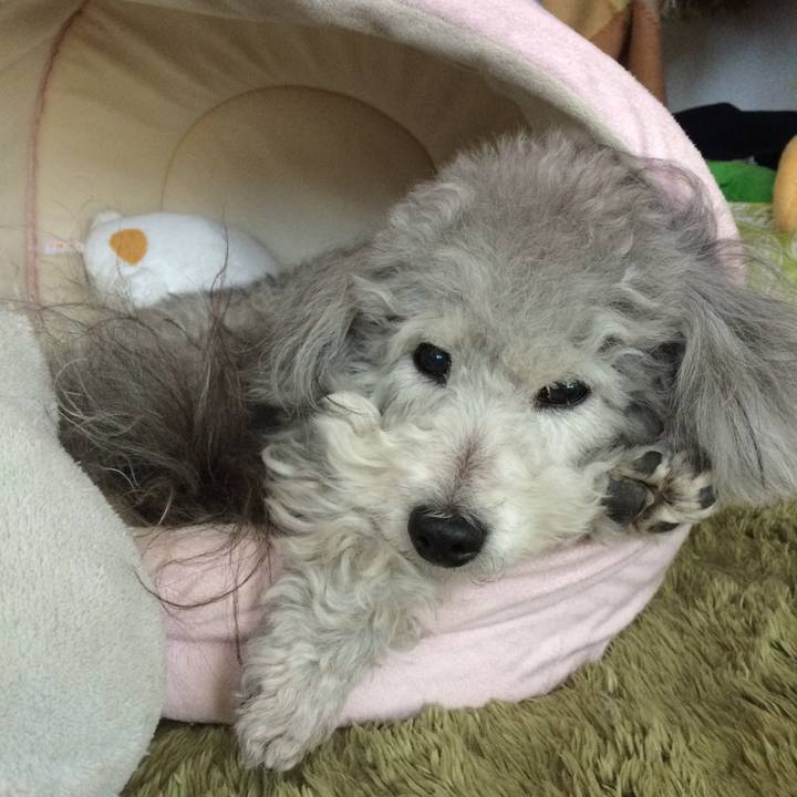 E3776894 d9d4 4049 91c4 dd6e2fb48213