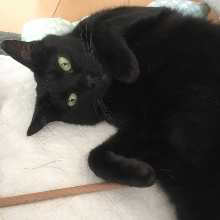 E377803d a8a5 42ee aec2 c02a2be8257b