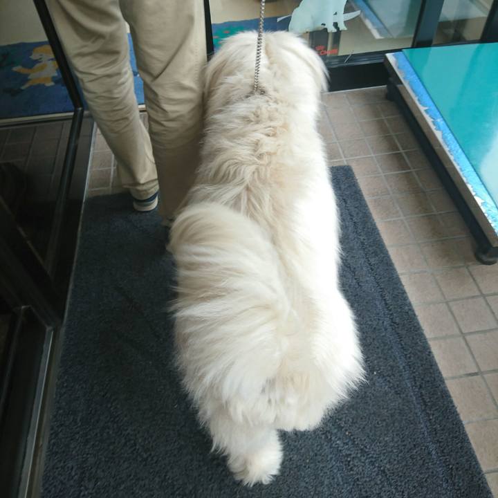 E37794b8 01c1 46dd 8994 ef642a455c03