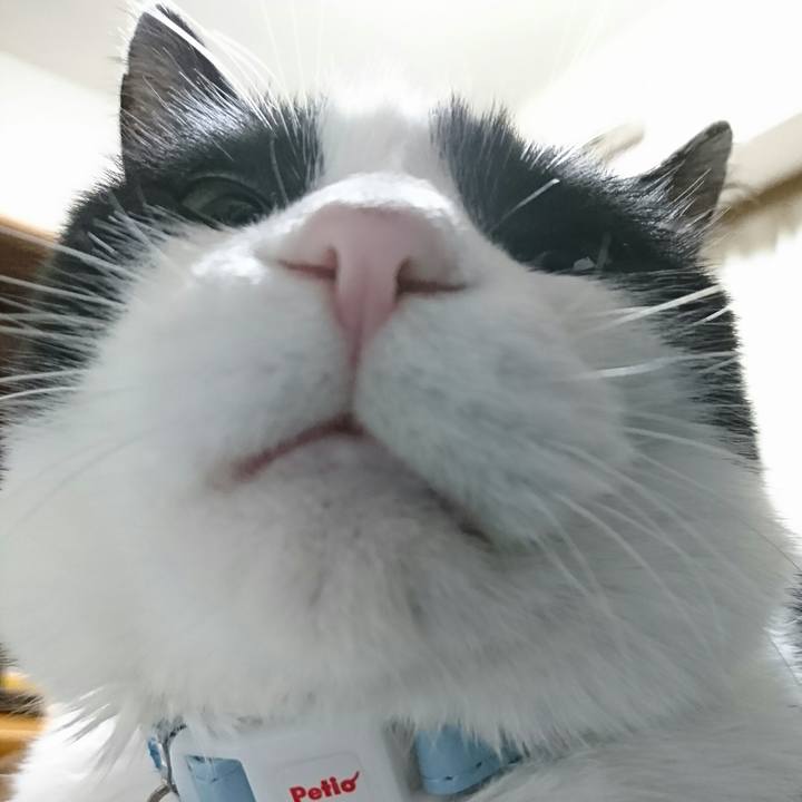 E37824ac cb0e 4734 b47c b608e2460b97