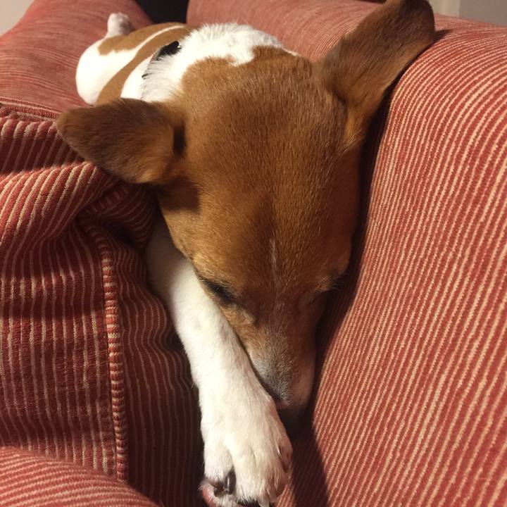 E3789612 c612 485b 981c b319a707af95