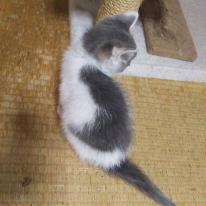 E378be1e 0b32 4157 8f18 ed0f3ba47f81