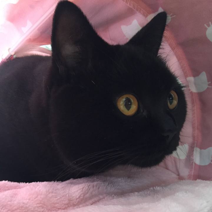 E379e0de 28a6 4706 a3d0 cf8fb6da6de9