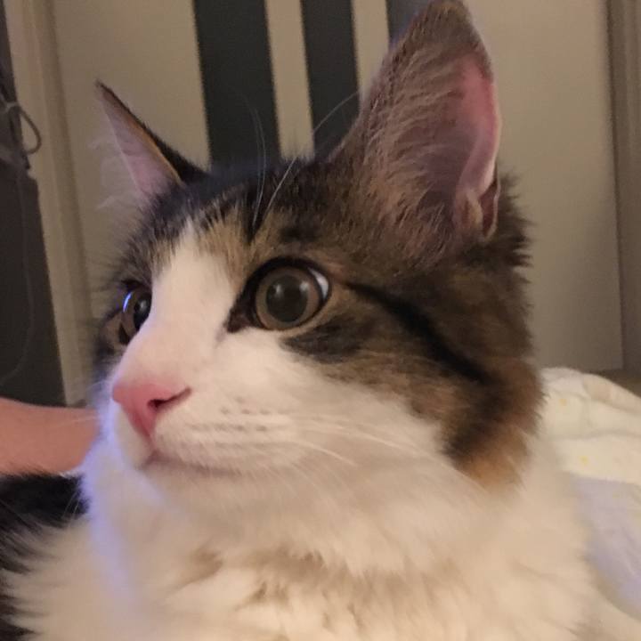 E37a9e16 f7d1 4b09 833f 1b9aeea1d4f4