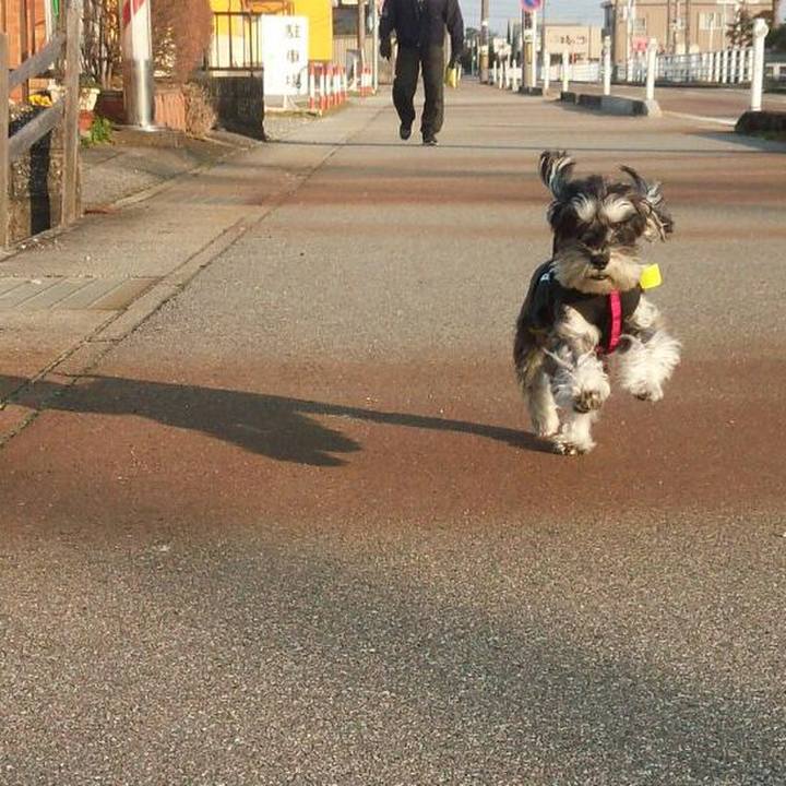 E37ace36 d02e 426e 9625 7b5c2f674bcf