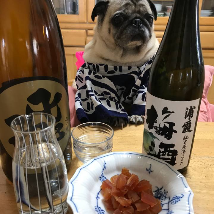 E37ad679 7fe0 4fe8 870c e5feb204c935