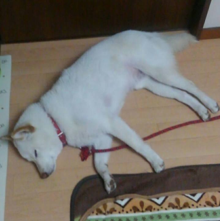 E37b9008 4b1b 4e12 876a e6e8002d4e38