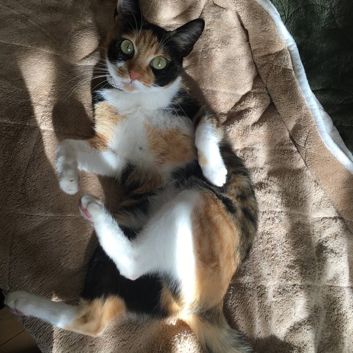 E37c7a67 0c59 481d b8b6 41d23987ae69