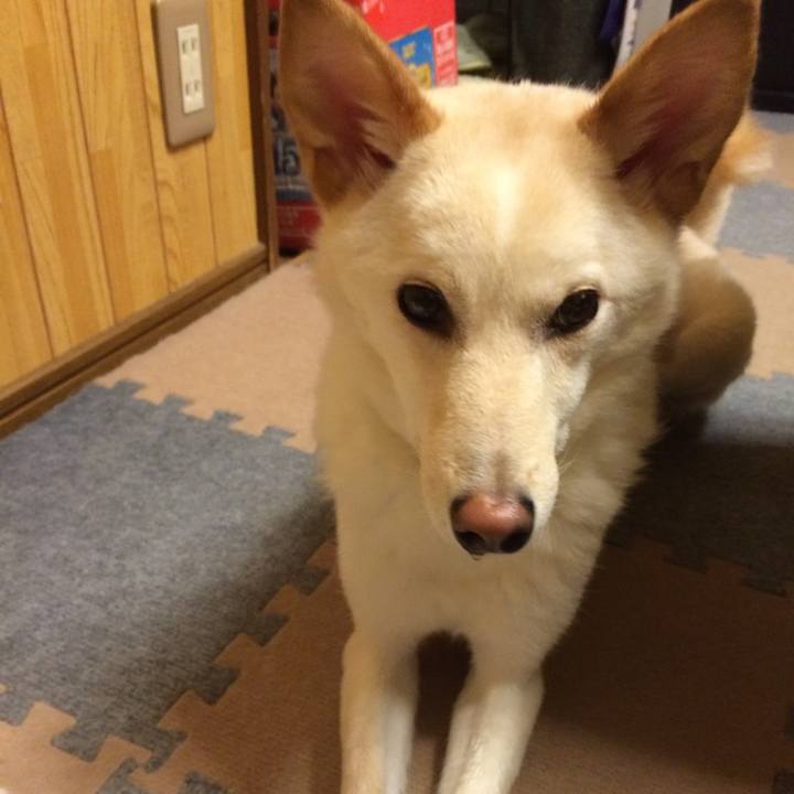 E37c7c42 6948 469b 93da 5462a9d01b97