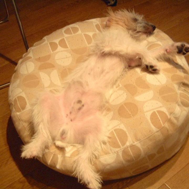 E37cb95f d209 40f9 b64e 2260394b190b