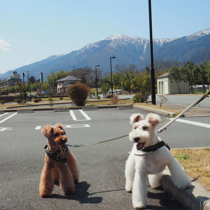 E37dbd19 21b0 406d 8b5d a0abc2b2e445