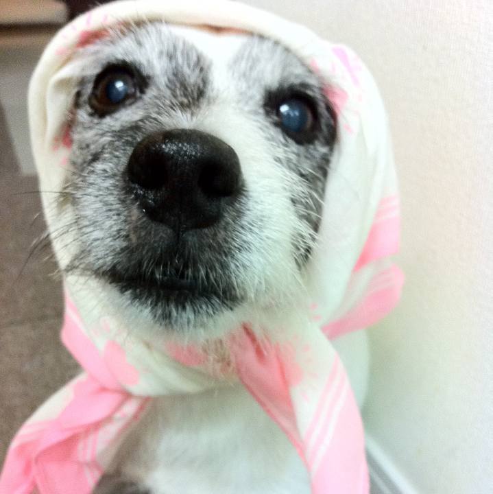 E37f5dea 692c 4169 81a0 6e50c73dd444