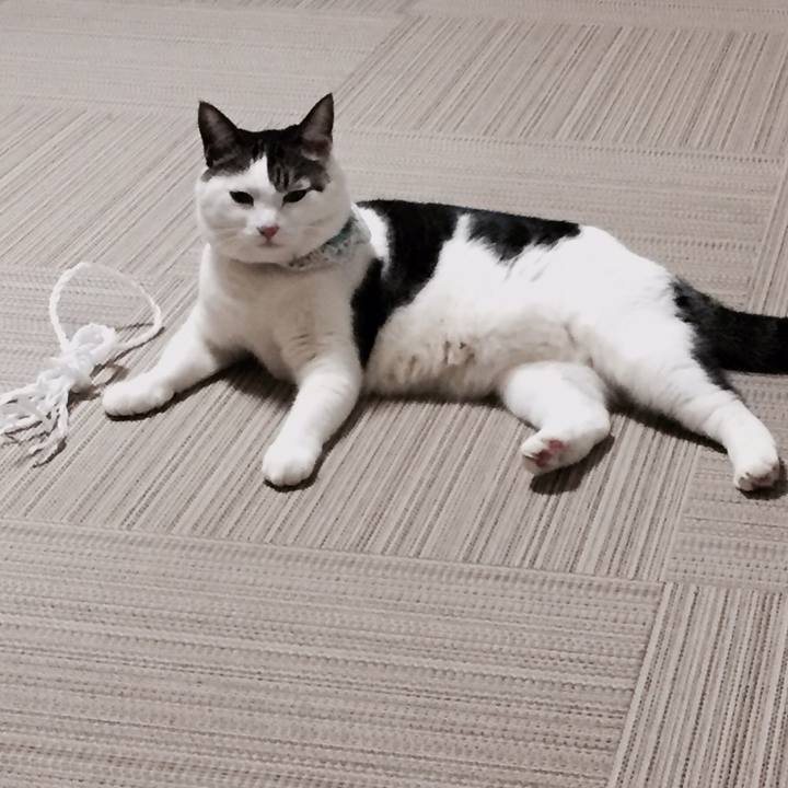 E37f7da5 0346 4b11 b652 573697e3b6e3