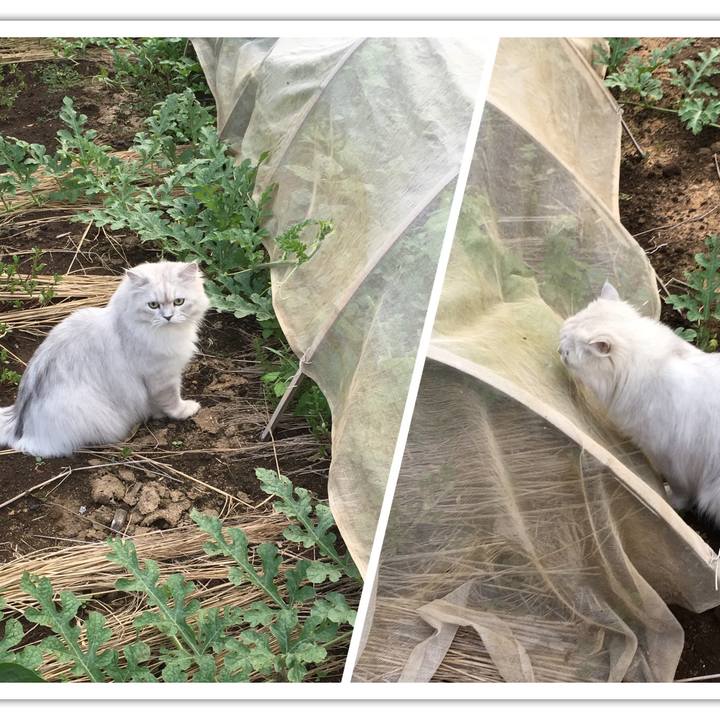 E37f88ec a565 419e 834b 4d4a99d1e466