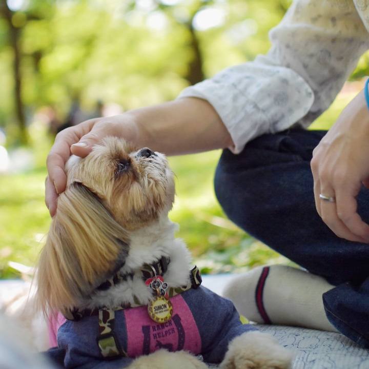 E38007a7 6a4e 40f4 a6d2 9d1767b82c0c