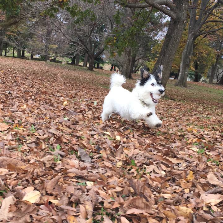 E38030f3 973c 4677 a168 f2054544cecc