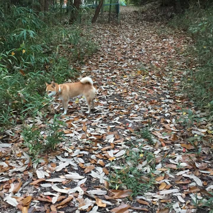 E381039a 5115 48c5 a132 3963fcc93ce0