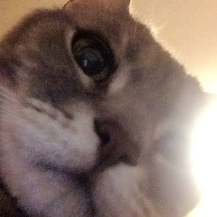 E3813af1 f32a 4f08 b91b f393d91472ca