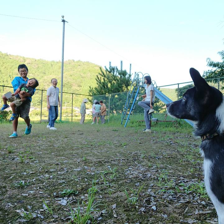 E3814402 e474 4659 abe0 5a70a15a6923