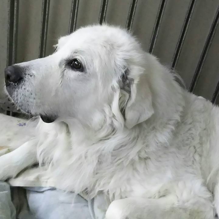 E38208e3 6851 427b a0b4 1549f3676bba