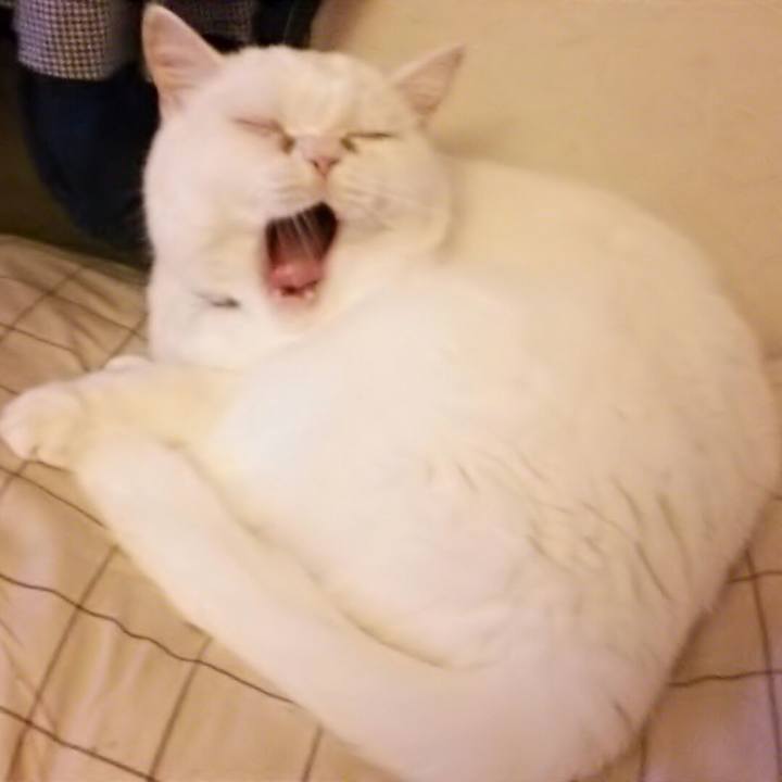 E3824ba2 595e 4744 9beb 8cc98c605695