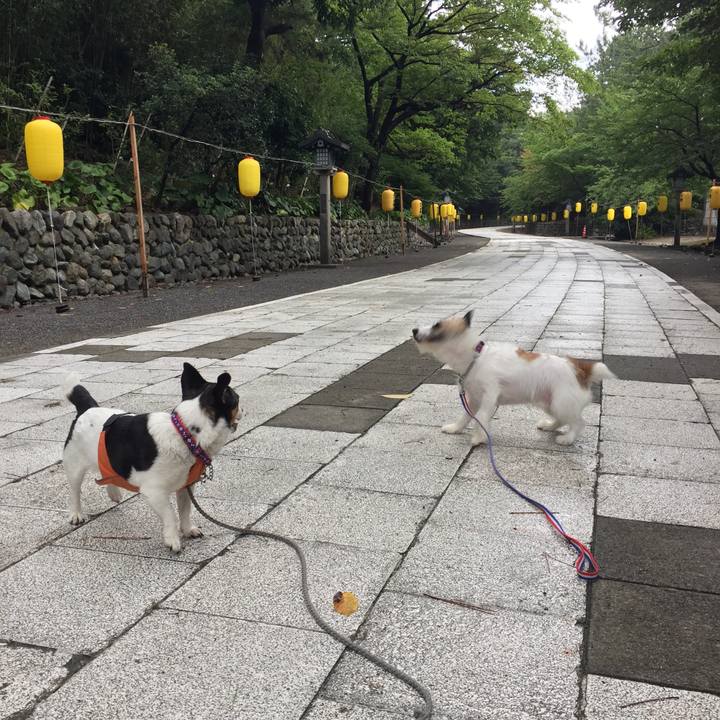 E38257ad 2a52 476e 8613 563fd156e72a