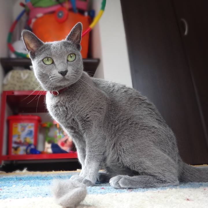 E382c607 4702 4d5e 943e c157215f154a